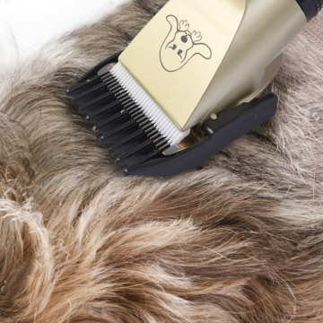 Pet Grooming Tool 13 - 64937 5cd538 -