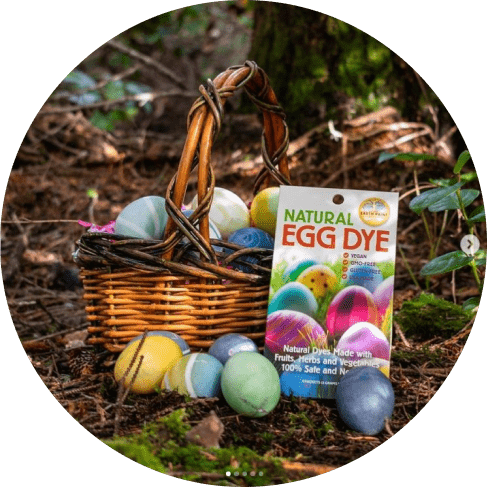 Natural Egg Dye 11 - 66263 27caab -