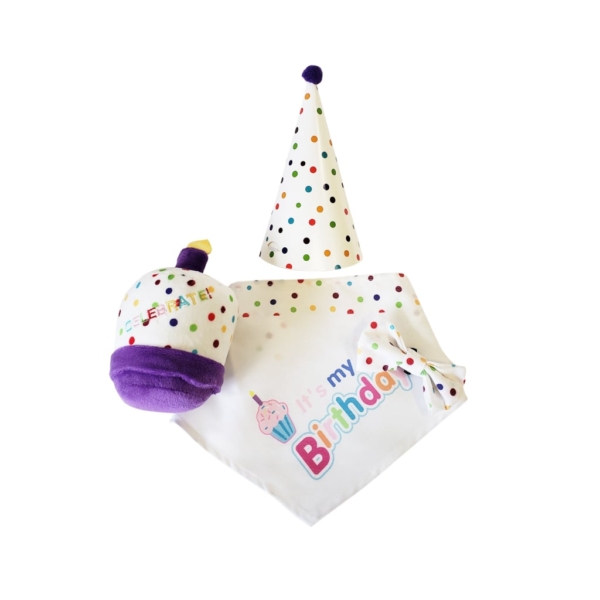 4-Piece Dog Birthday Kit 2 - 68252 4e105b -