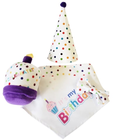 4-Piece Dog Birthday Kit 14 - 68252 e79f96 -