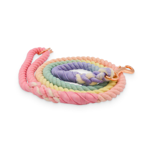 Rainbow Dog Leash 2 - 68258 2b50a9 -