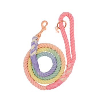 Rainbow Dog Leash 6 - 68258 55875f -