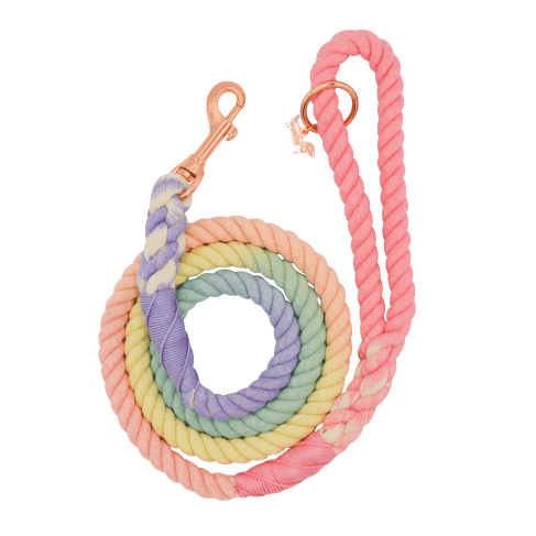 Rainbow Dog Leash 8 - 68258 6fb2c3 -