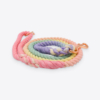 Rainbow Dog Leash 32 - 68258 fea0ae -