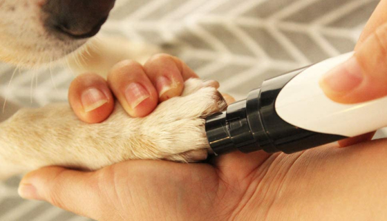 Rechargeable Professional Dog Nail Grinder 15 - 68260 03f3d8 -