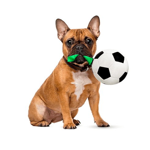 Dog Soccer Ball Toy 5 - 68263 1c3853 -