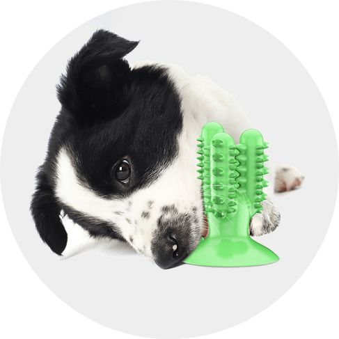 Cactus Dog Toothbrush 7 - 68264 abe838 -