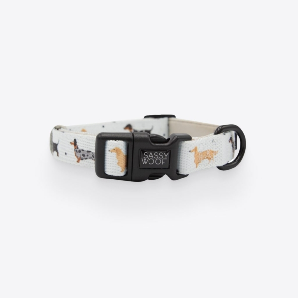 101 Dachshund' Dog Collar 1 - 68268 0b9db3 -