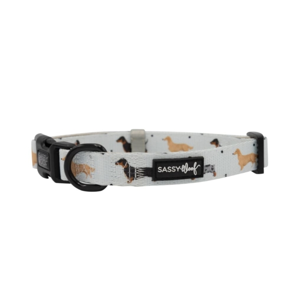 101 Dachshund' Dog Collar 2 - 68268 a9bd45 -