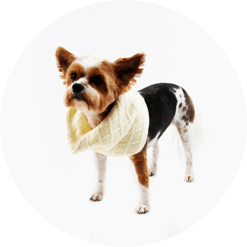 Cream Knit Infinity Scarf for Dogs 5 - 68275 32cc2a -