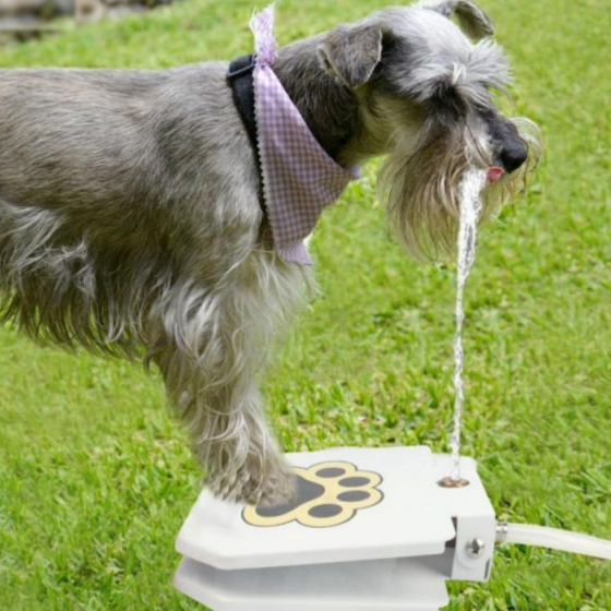 Automatic Outdoor Dog Water Fountain 15 - 68280 8b7ff7 -