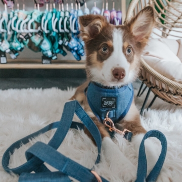 Denim' Dog Fabric Leash 10 - 68282 788534 -