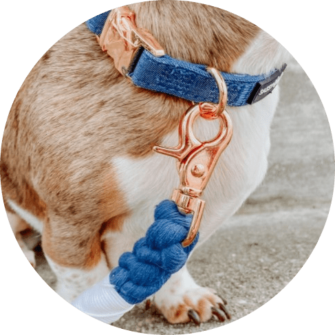 Denim' Dog Collar 9 - 68286 b8e214 -