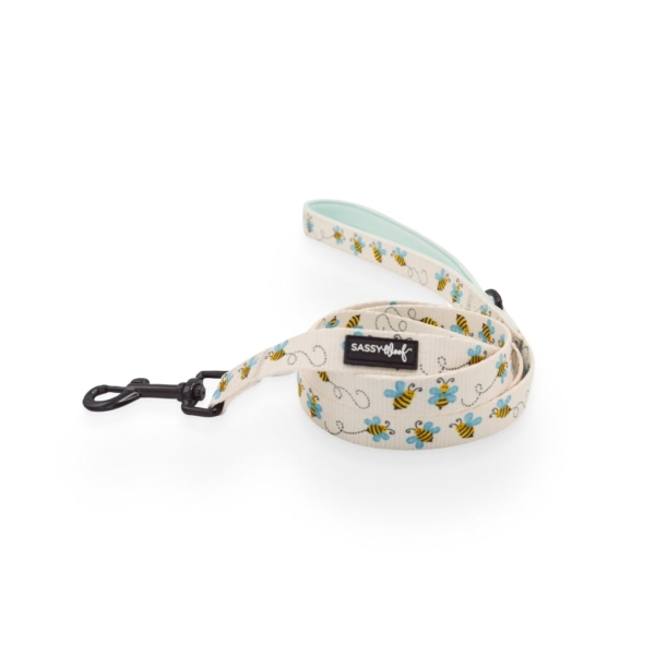 Bee Sassy' Dog Fabric Leash 2 - 68288 eeb209 -