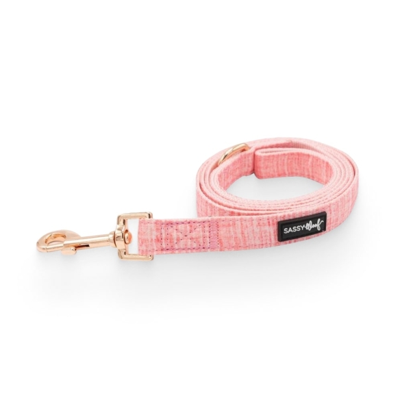 Dolce Rose' Dog Fabric Leash 2 - 68299 9fd191 -