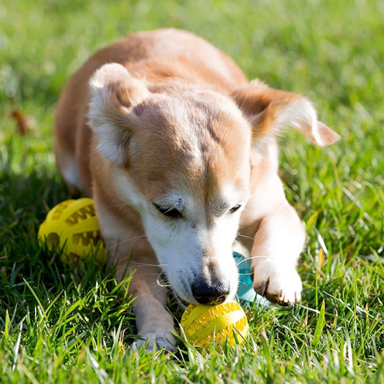 Dog Toy Feeder Ball Medium (2 inch) 13 - 68720 0bd0a4 -