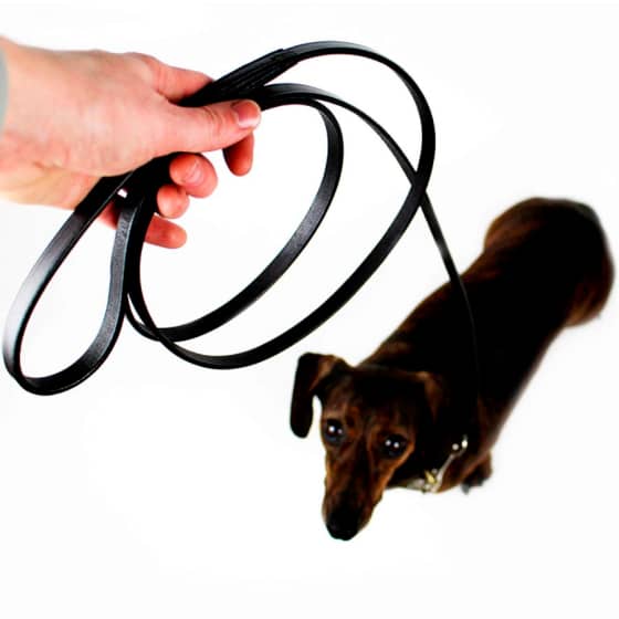 Small Leather Dog Leash 10 - 68973 9b0e0e -