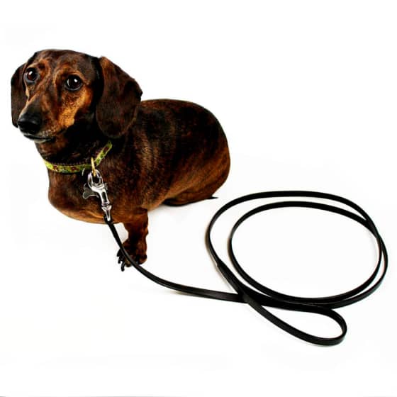 Small Leather Dog Leash 9 - 68973 e1b311 -