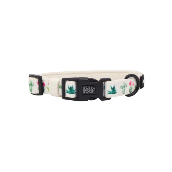 Sass on Point' Dog Collar 3 - 68974 103130 -