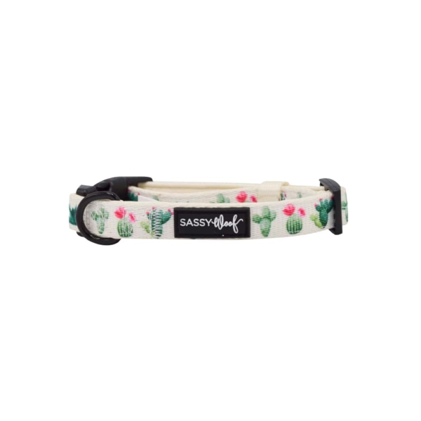 Sass on Point' Dog Collar 2 - 68974 bf37b2 -