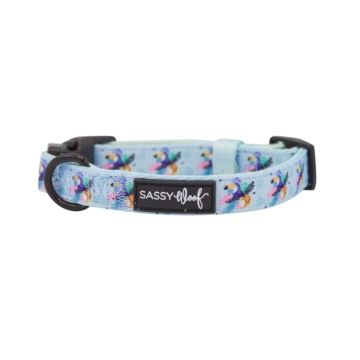 Tropicana' Dog Collar 6 - 68976 88ea43 -