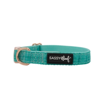 Wag Your Teal' Dog Collar 7 - 68980 1731c5 -