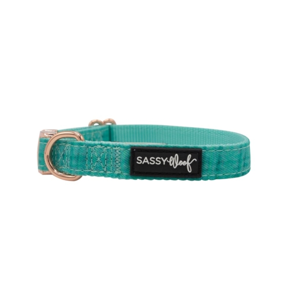 Wag Your Teal' Dog Collar 3 - 68980 1731c5 -