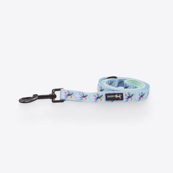 Tropicana' Dog Fabric Leash 1 - 68981 c4985e -