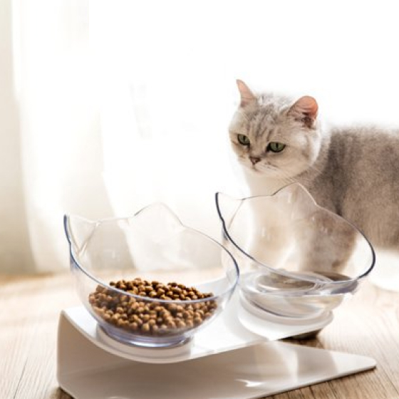 Non-Slip Cat Bowls with Raised Stand 18 - 69093 932966 -