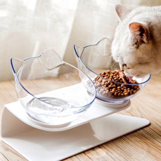 Non-Slip Cat Bowls with Raised Stand 19 - 69093 b5a354 -