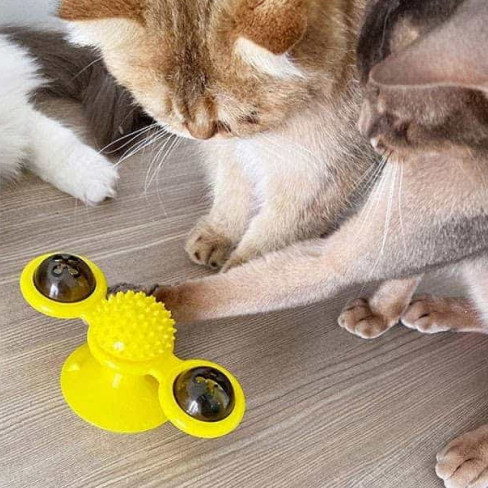 Windmill Cat Toy 25 - 69264 3814e9 -